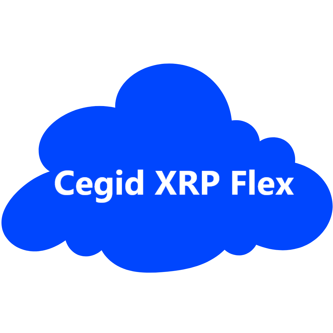 Distributeur Cegid XRP Flex - Saint-Etienne (42) - NEXIIUM
